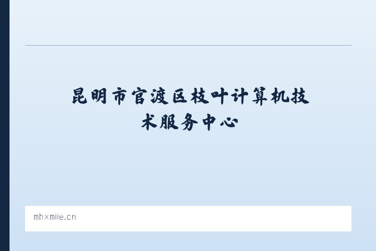 昆明市官渡区枝叶计算机技术服务中心 列表图